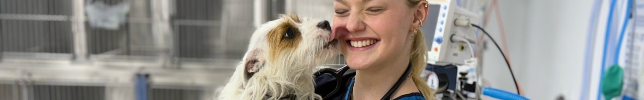 Image representing veterinary nursing. Small dog licking the face of a smiling vet nurse.