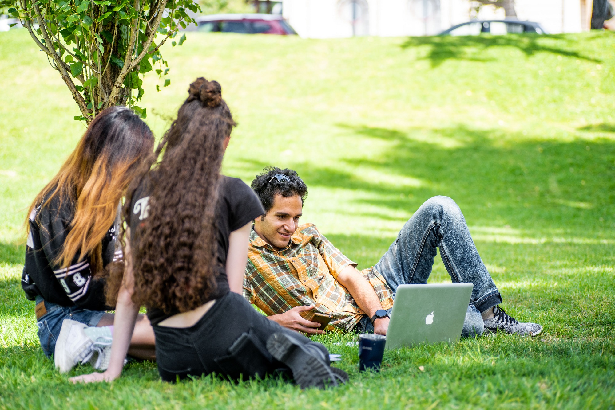 Group of students working remotely in a park