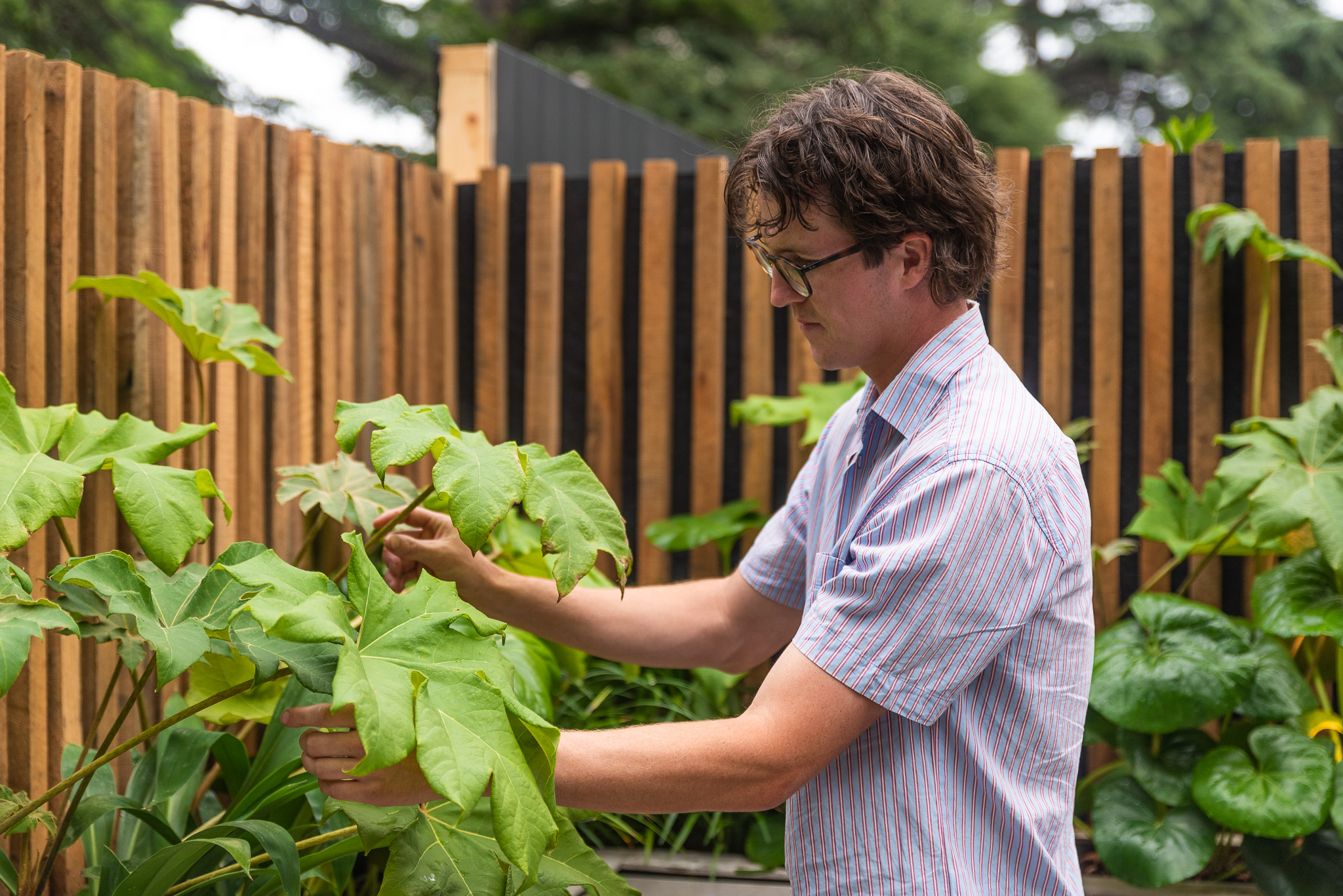 Image of Student Jake McCorkell tending plants